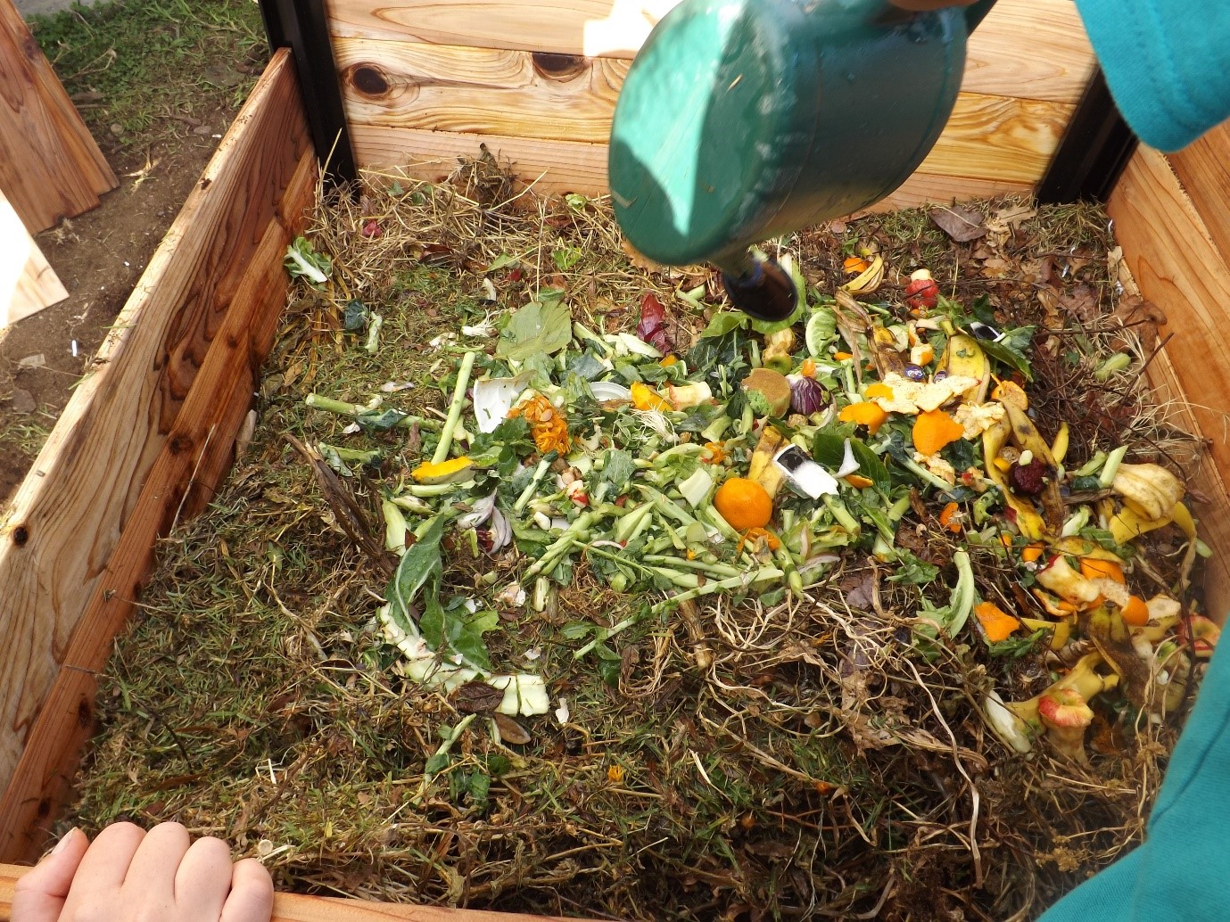 Compost